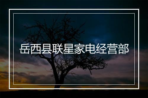 岳西县联星家电经营部