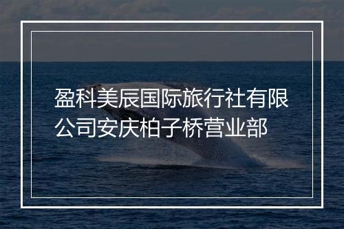 盈科美辰国际旅行社有限公司安庆柏子桥营业部