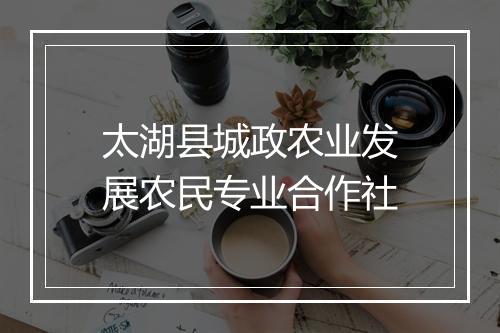 太湖县城政农业发展农民专业合作社