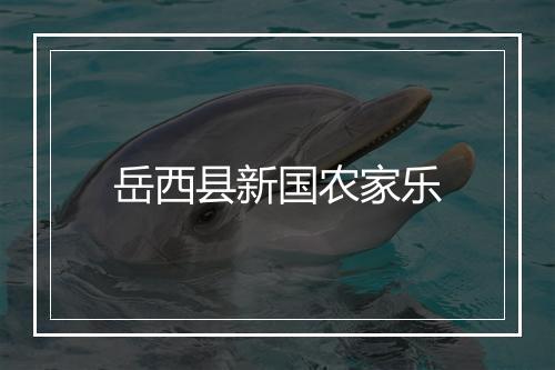 岳西县新国农家乐