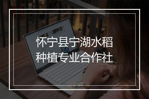 怀宁县宁湖水稻种植专业合作社