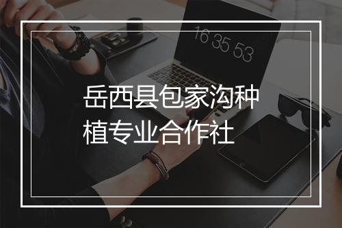 岳西县包家沟种植专业合作社