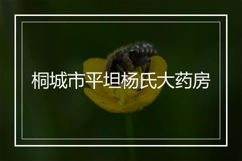 桐城市平坦杨氏大药房