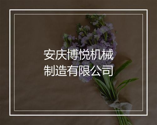 安庆博悦机械制造有限公司