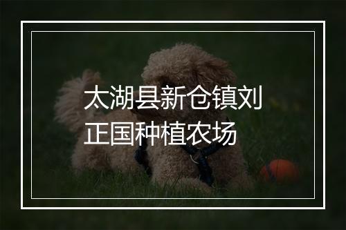 太湖县新仓镇刘正国种植农场