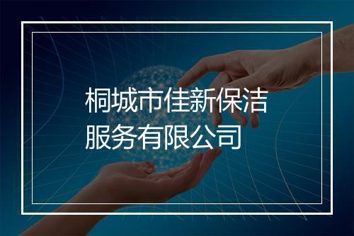 桐城市佳新保洁服务有限公司
