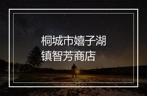 桐城市嬉子湖镇智芳商店