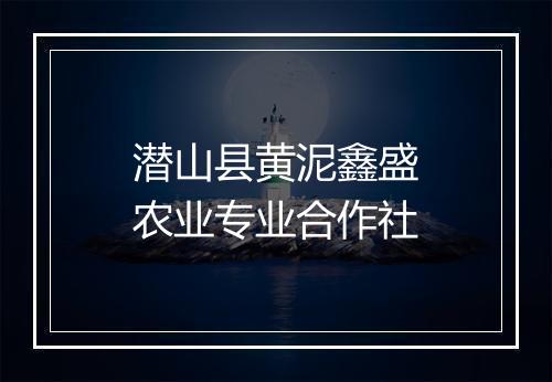 潜山县黄泥鑫盛农业专业合作社