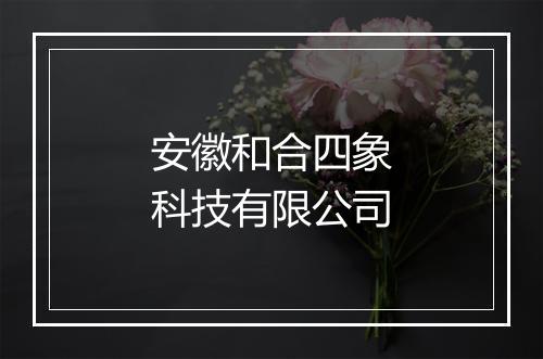 安徽和合四象科技有限公司