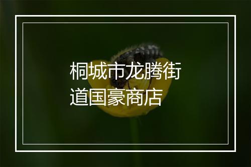 桐城市龙腾街道国豪商店