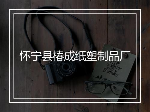 怀宁县椿成纸塑制品厂