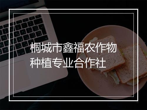 桐城市鑫福农作物种植专业合作社