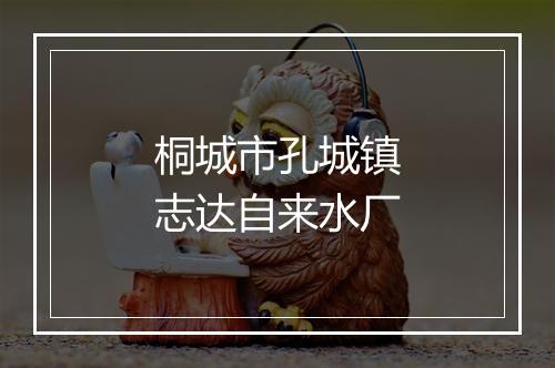 桐城市孔城镇志达自来水厂
