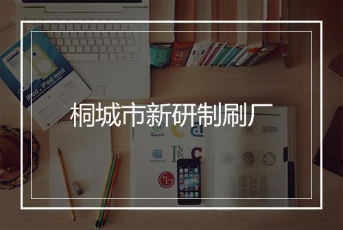桐城市新研制刷厂