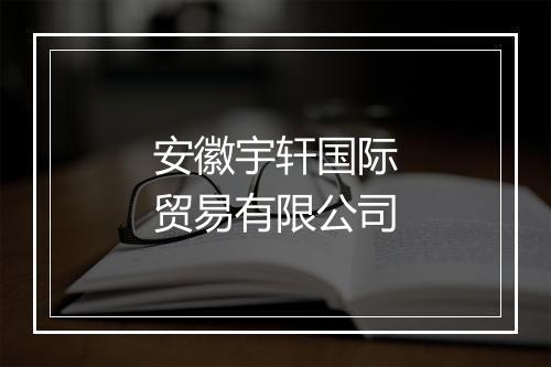 安徽宇轩国际贸易有限公司