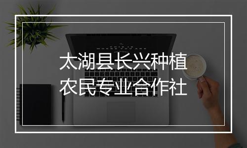 太湖县长兴种植农民专业合作社