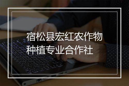 宿松县宏红农作物种植专业合作社