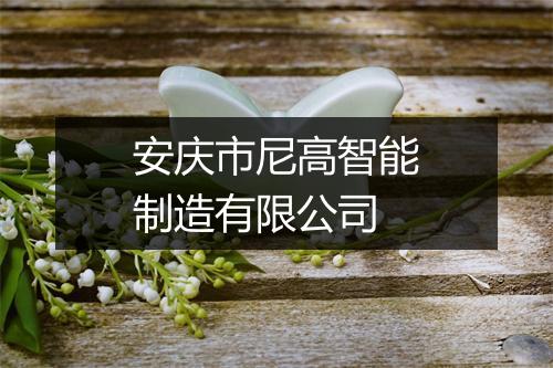 安庆市尼高智能制造有限公司