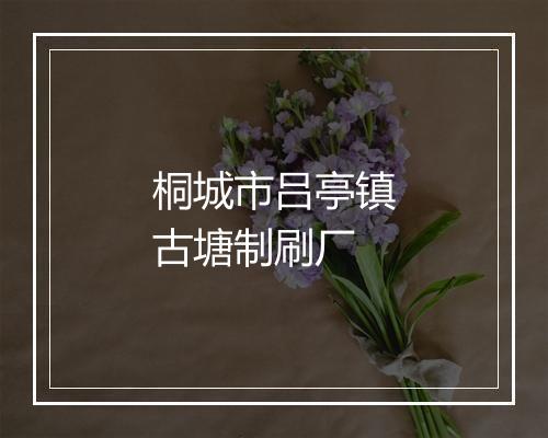 桐城市吕亭镇古塘制刷厂