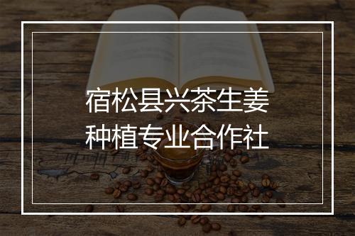 宿松县兴茶生姜种植专业合作社