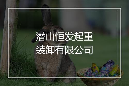 潜山恒发起重装卸有限公司