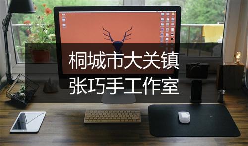 桐城市大关镇张巧手工作室