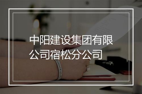 中阳建设集团有限公司宿松分公司