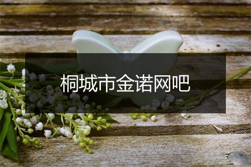桐城市金诺网吧