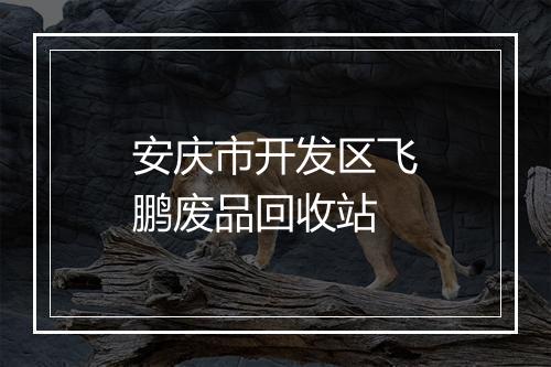 安庆市开发区飞鹏废品回收站