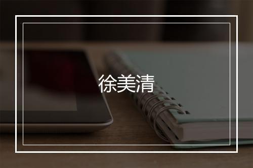 徐美清