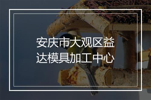 安庆市大观区益达模具加工中心