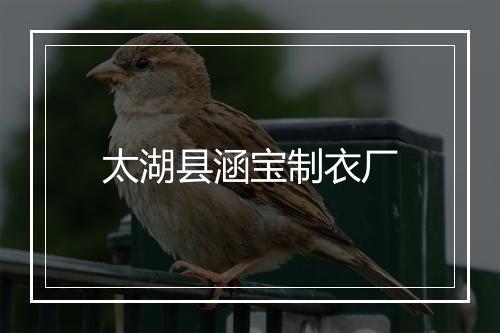 太湖县涵宝制衣厂