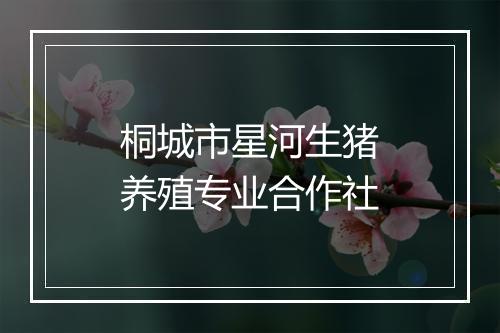 桐城市星河生猪养殖专业合作社
