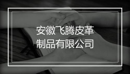 安徽飞腾皮革制品有限公司