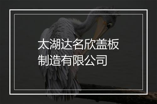 太湖达名欣盖板制造有限公司