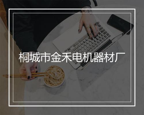 桐城市金禾电机器材厂