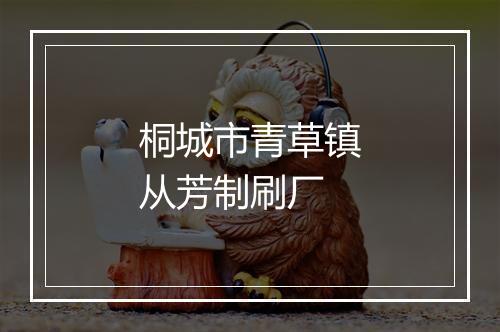 桐城市青草镇从芳制刷厂