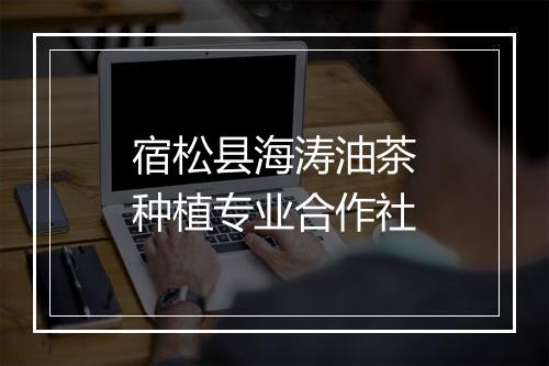 宿松县海涛油茶种植专业合作社