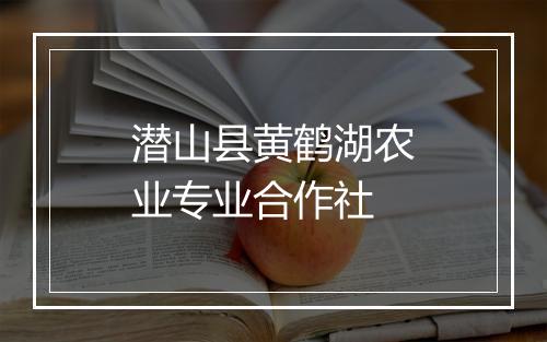 潜山县黄鹤湖农业专业合作社