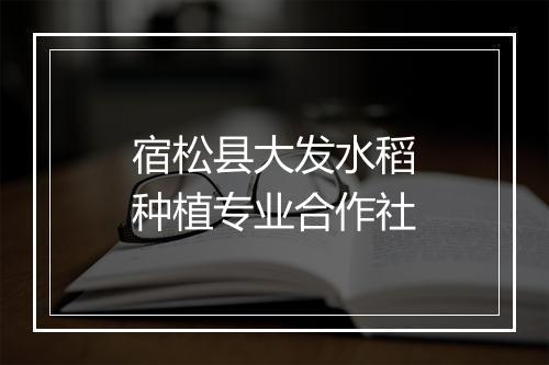 宿松县大发水稻种植专业合作社