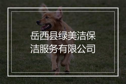 岳西县绿美洁保洁服务有限公司