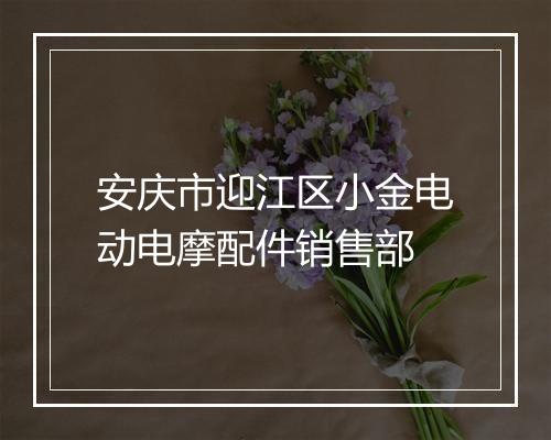 安庆市迎江区小金电动电摩配件销售部