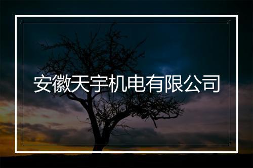 安徽天宇机电有限公司