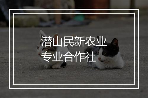潜山民新农业专业合作社