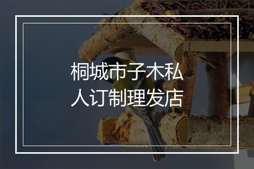桐城市子木私人订制理发店