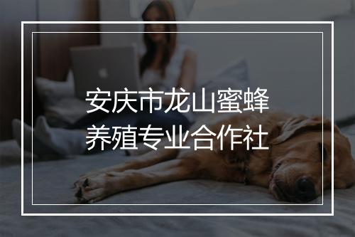 安庆市龙山蜜蜂养殖专业合作社