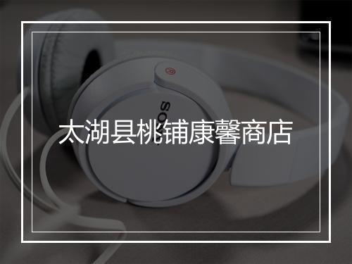 太湖县桃铺康馨商店