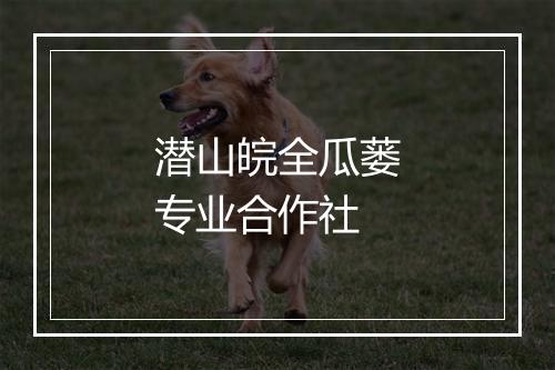 潜山皖全瓜蒌专业合作社