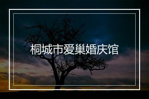 桐城市爱巢婚庆馆