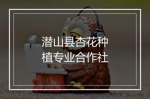 潜山县杏花种植专业合作社